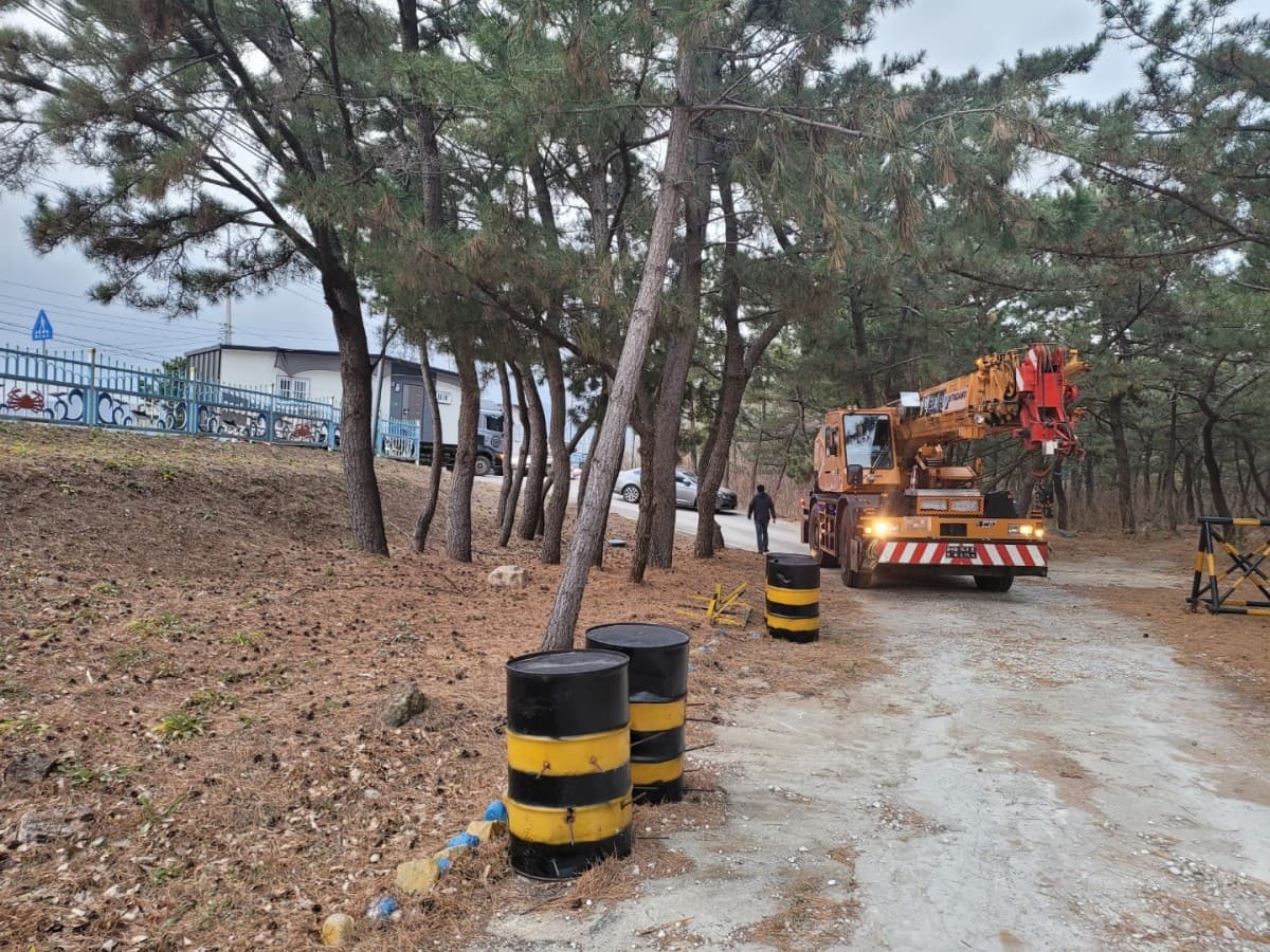[경북 영덕] 3x9 이동식 주택 출고 이미지 6
